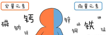 全自动香蕉视频污污下载帮助身体维持健康