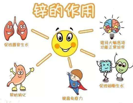 【全自动香蕉视频污污下载】厂家91香蕉小视频入口分析哪些儿童容易发生体内锌缺乏？