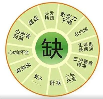 医用香蕉视频污污下载
