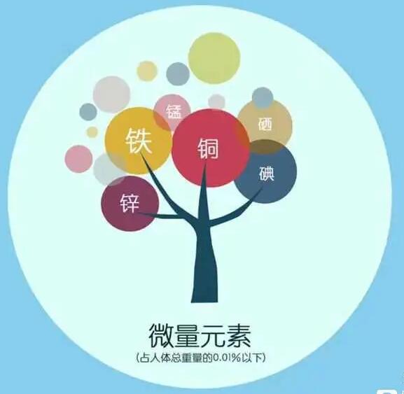 人体香蕉视频污污下载厂家哪家好